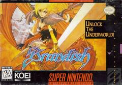 Brandish New