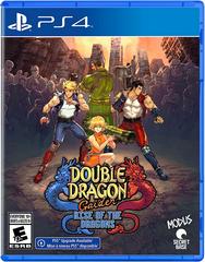 Double Dragon Gaiden: Rise of the Dragons New
