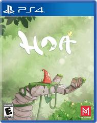 Hoa New