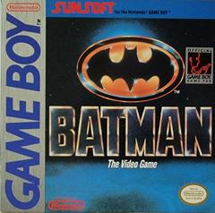 Batman the Video Game New