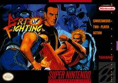 Art of Fighting New