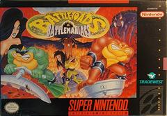 Battletoads In Battlemaniacs New