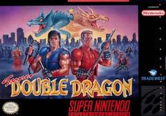 Super Double Dragon New