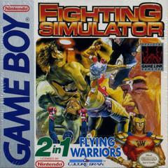 2 In 1: Flying Warriors / Fighting Simulator New