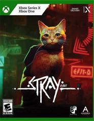 Stray New