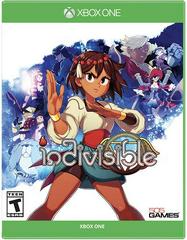 Indivisible New