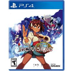 Indivisible New