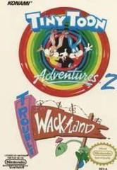 Tiny Toon Adventures 2 Trouble in Wackyland New