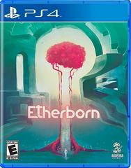 Etherborn New