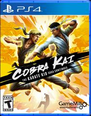 Cobra Kai: The Karate Kid Saga Continues New