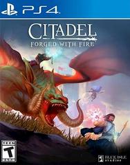 Citadel: Forged with Fire New