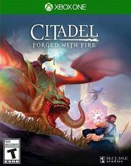 Citadel: Forged with Fire New