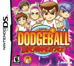 Super Dodgeball Brawlers New